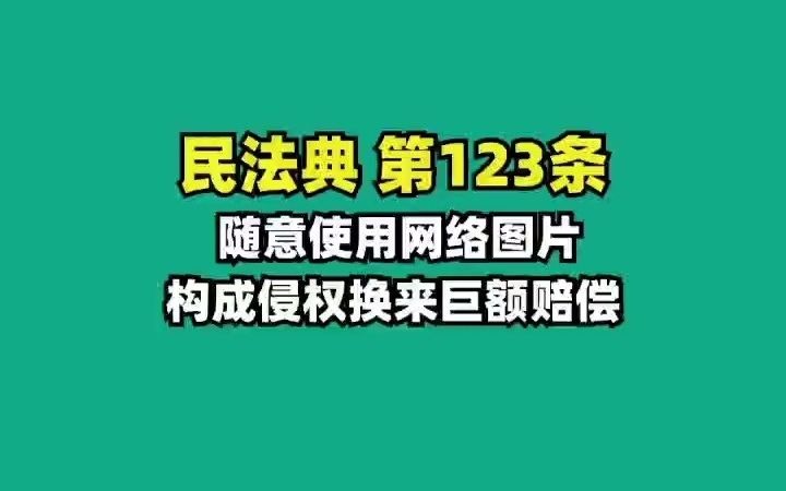 民法典123.随意使用网络图片,构成侵权要赔偿哔哩哔哩bilibili