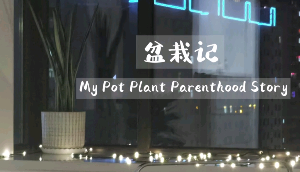 英语输出练习: 《盆栽记》My Plot Plant Parenthood Story哔哩哔哩bilibili