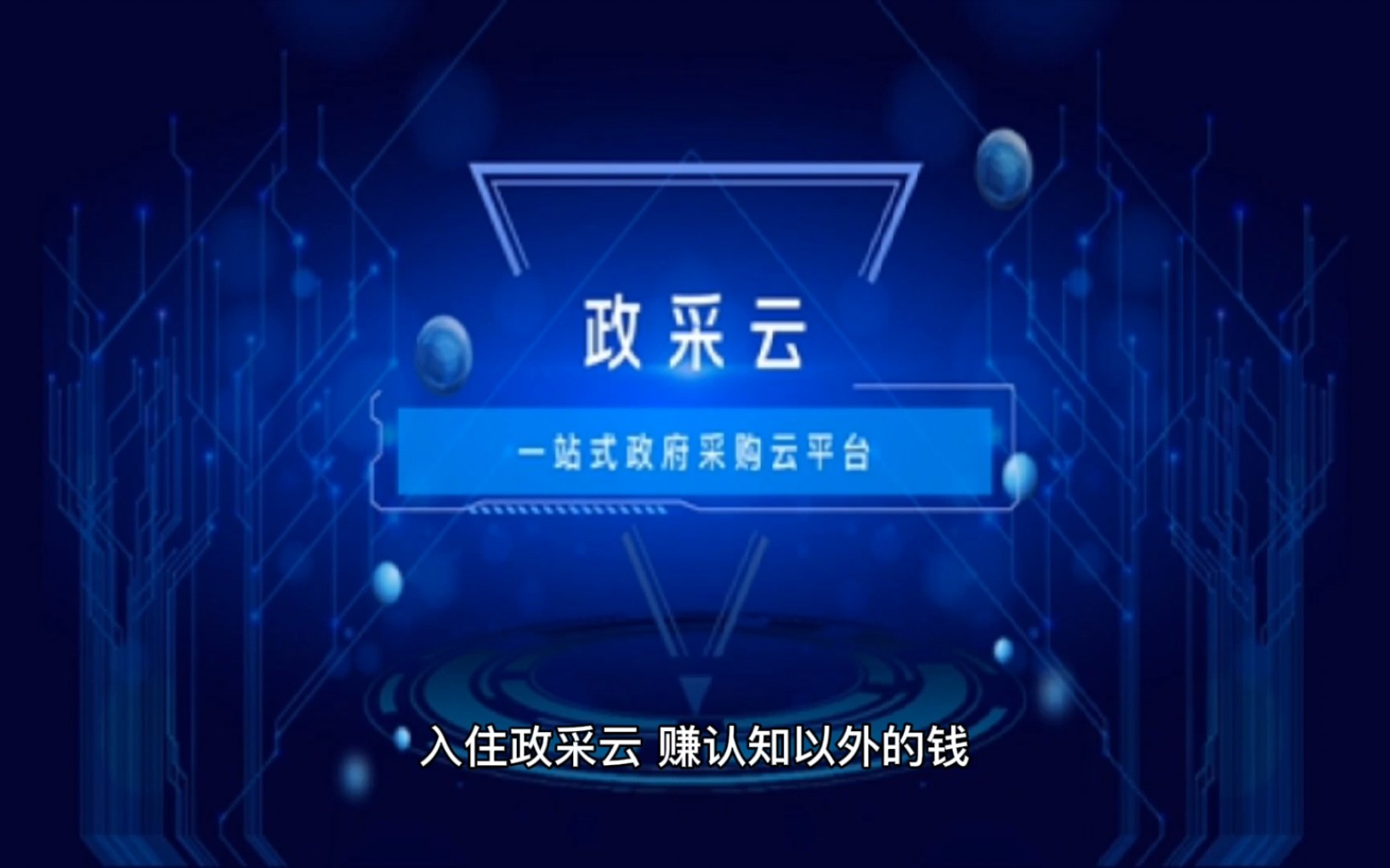 入住政采云电商新赛道