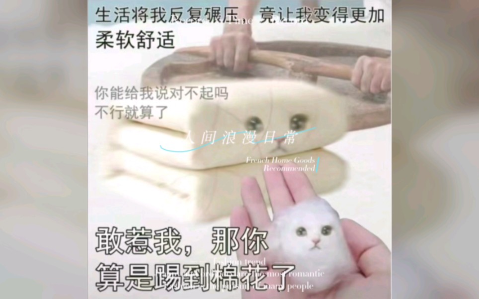 非常努力鬼灵歌伎惹我算是踢到棉花了
