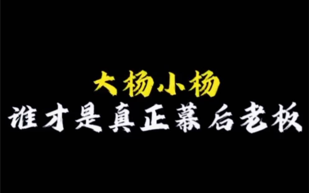 【面相解读】大杨小杨谁才是真正幕后老板哔哩哔哩bilibili