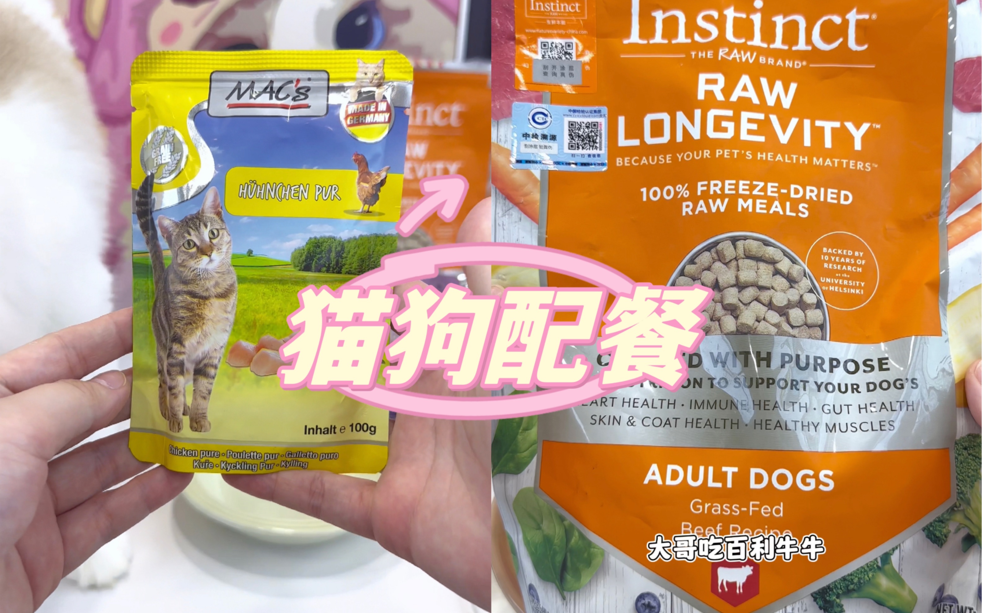 猫狗配餐|迈格式 鸡,百利牛牛哔哩哔哩bilibili