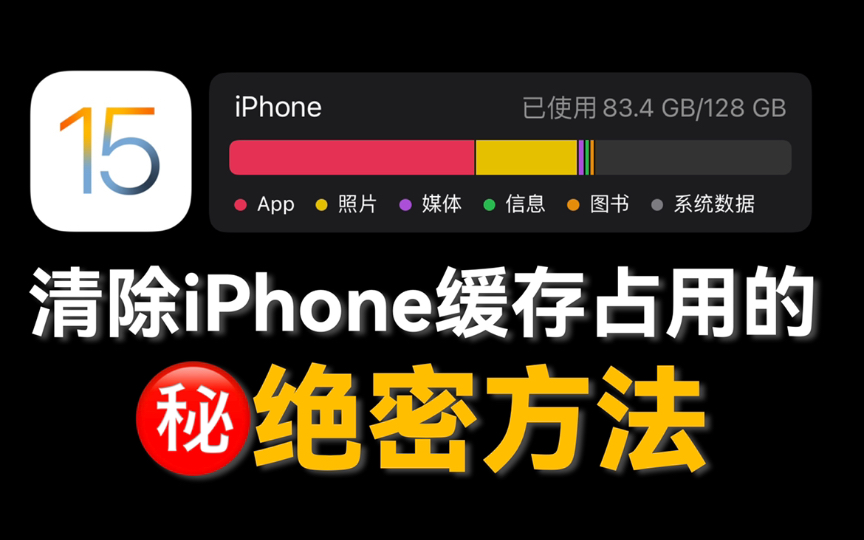 【iPhone缓存清理】有这招,以后谁还买256GB啊??|iPhone 13 Pro系列隐藏功能