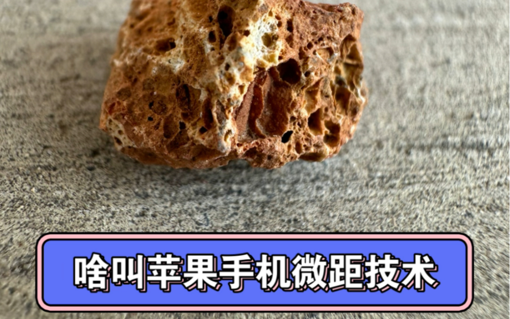 惊艳的微距镜头苹果14pro拍