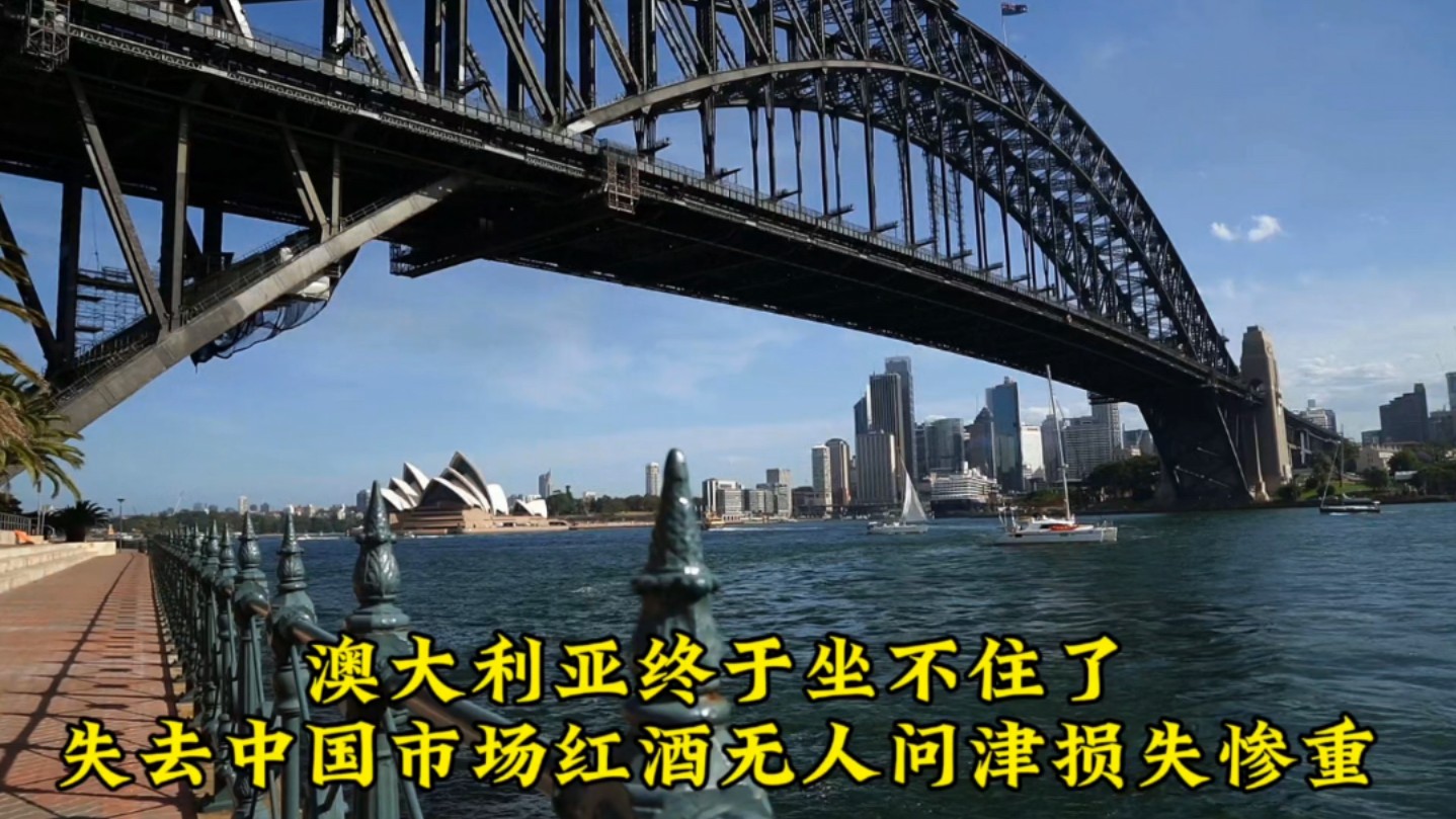 澳大利亚终于坐不住了,失去中国市场后,澳红酒无人问津损失惨重