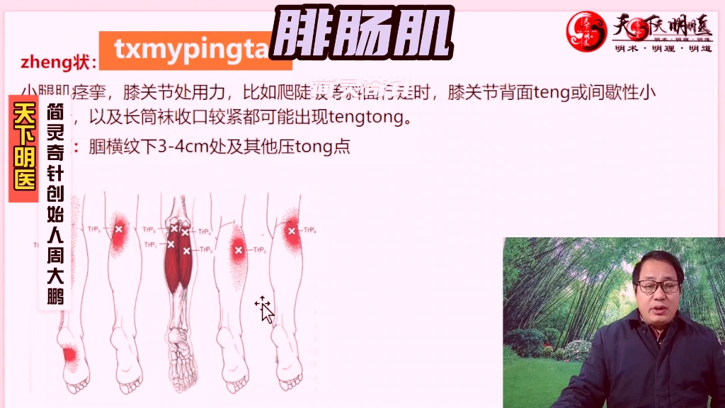 腓肠肌——小腿抽筋,酸痛,足底痛!