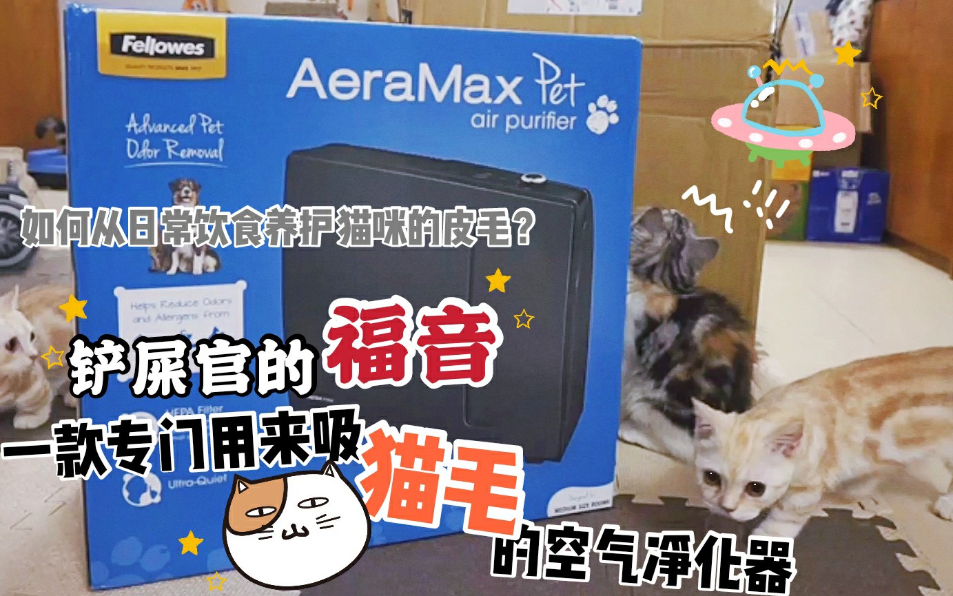 范罗士AeraMax PT65家用宠物空气净化器开箱试用|从日常饮食入手改善猫咪掉毛问题哔哩哔哩bilibili