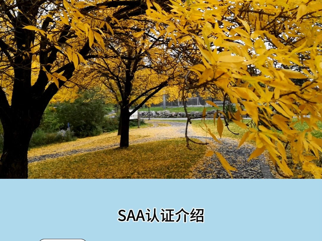 澳大利亚SAA认证SAA电器认证哔哩哔哩bilibili