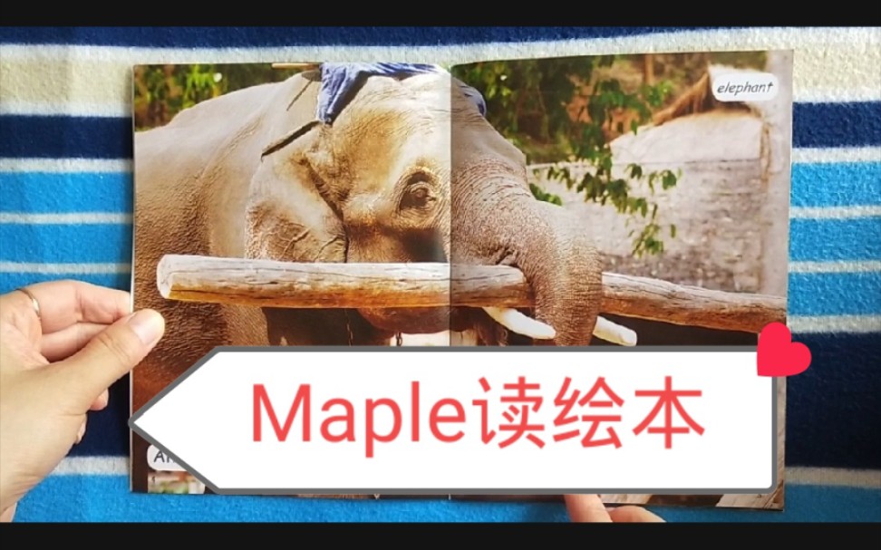 [图]Maple读绘本：红火箭（Early Level 2) So Strong