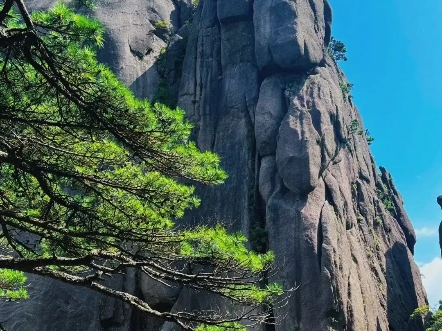 愿你在游览中国著名的黄山时能够充分领略其壮美与秀丽的风光.哔哩哔哩bilibili