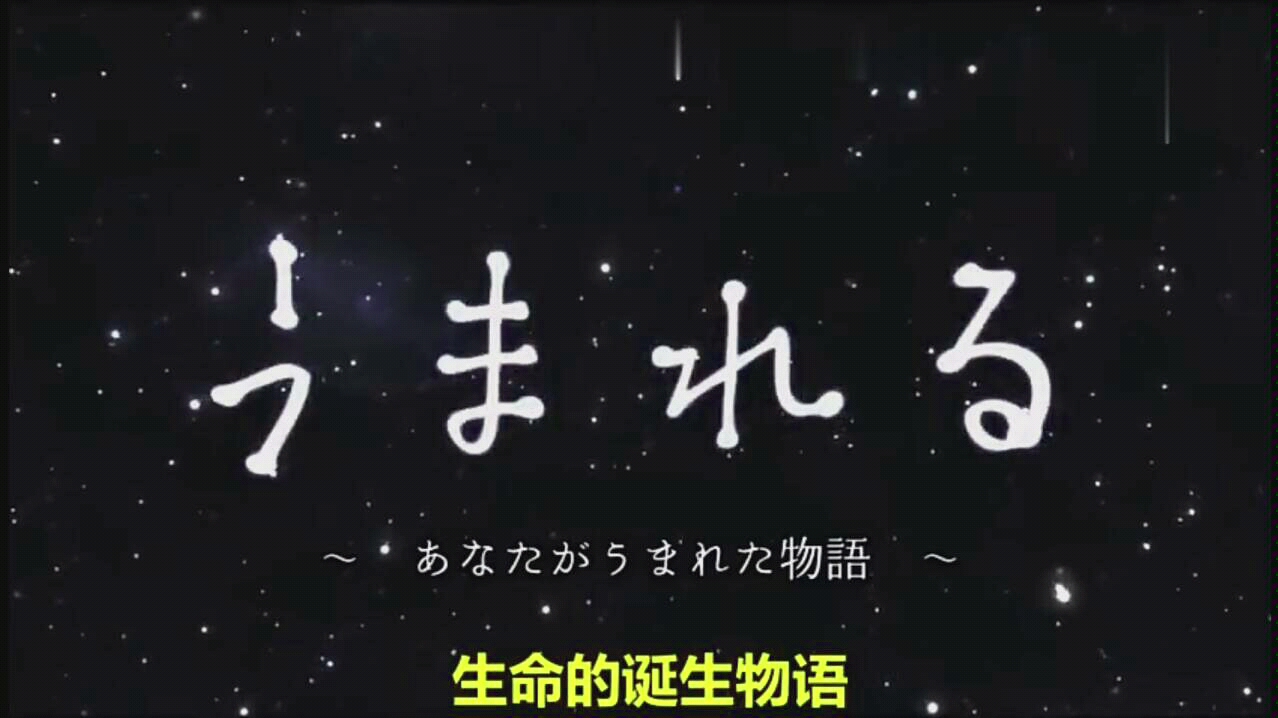 [图]【日本超温情动画解说】生命的诞生物语-讲述精子和卵子相遇的过程