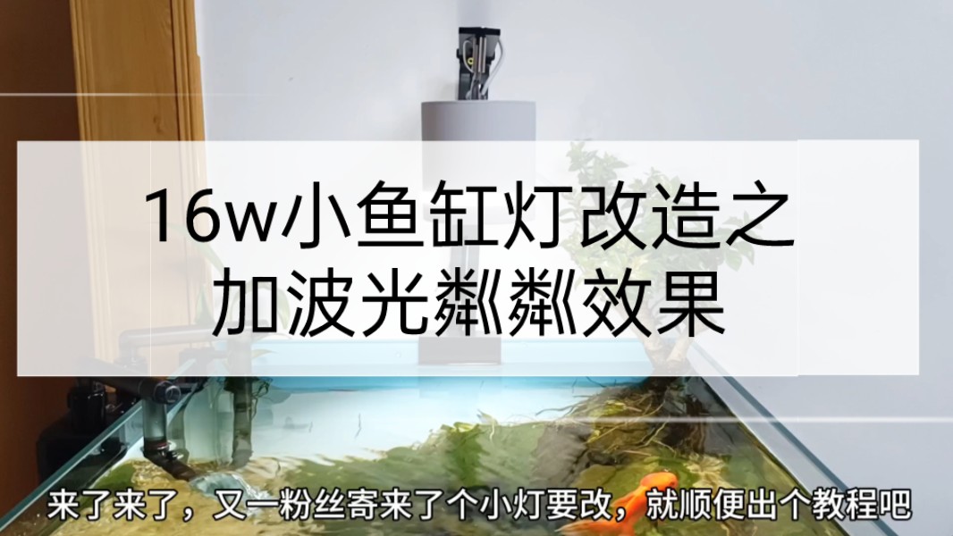 16瓦的小鱼缸筒灯改造:加波光粼粼效果#鱼缸吊灯diy #水族器材 #鱼灯手工制作哔哩哔哩bilibili