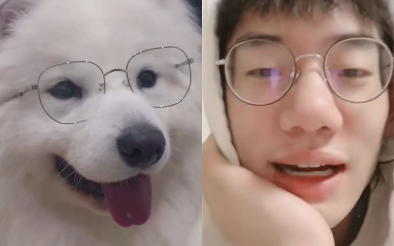 subs杀不死张毅成张毅成是小狗的证据本人来演的程度