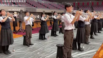 桑田佳祐初代真夏的果实最美清水美砂 哔哩哔哩 Bilibili