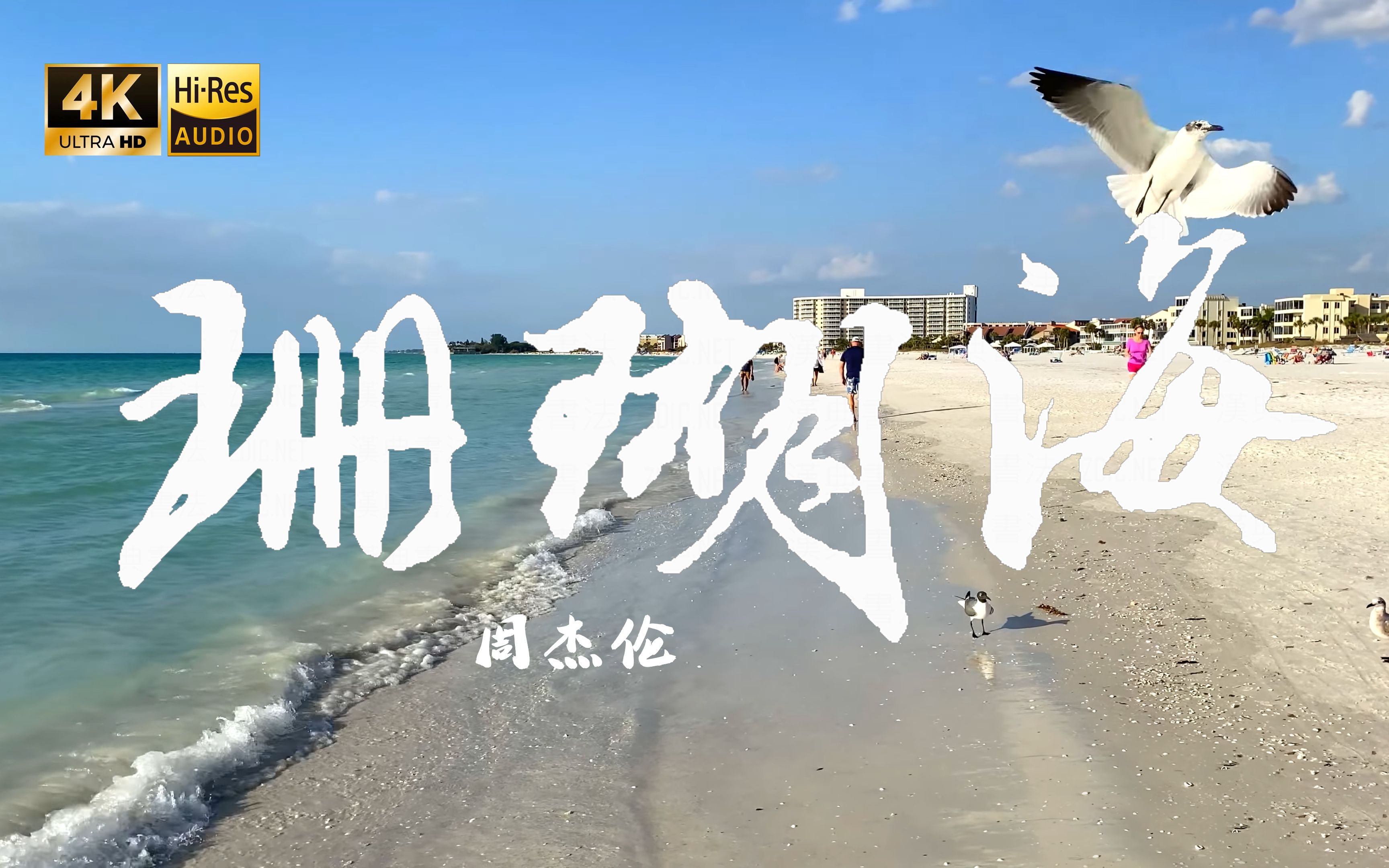 周杰伦珊瑚海海报图片