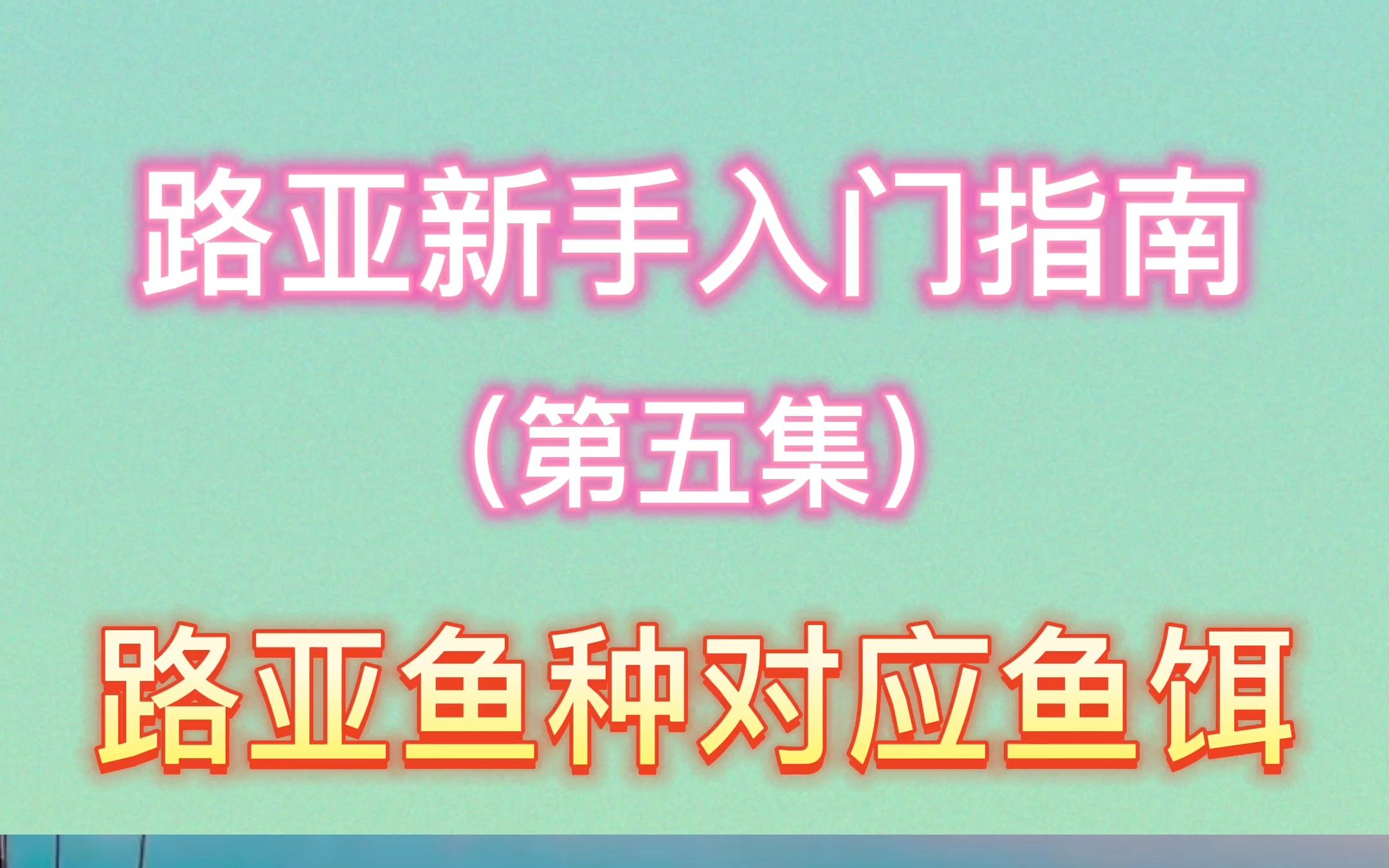 路亚新手入门指南(第五集),路亚鱼种对应鱼饵哔哩哔哩bilibili