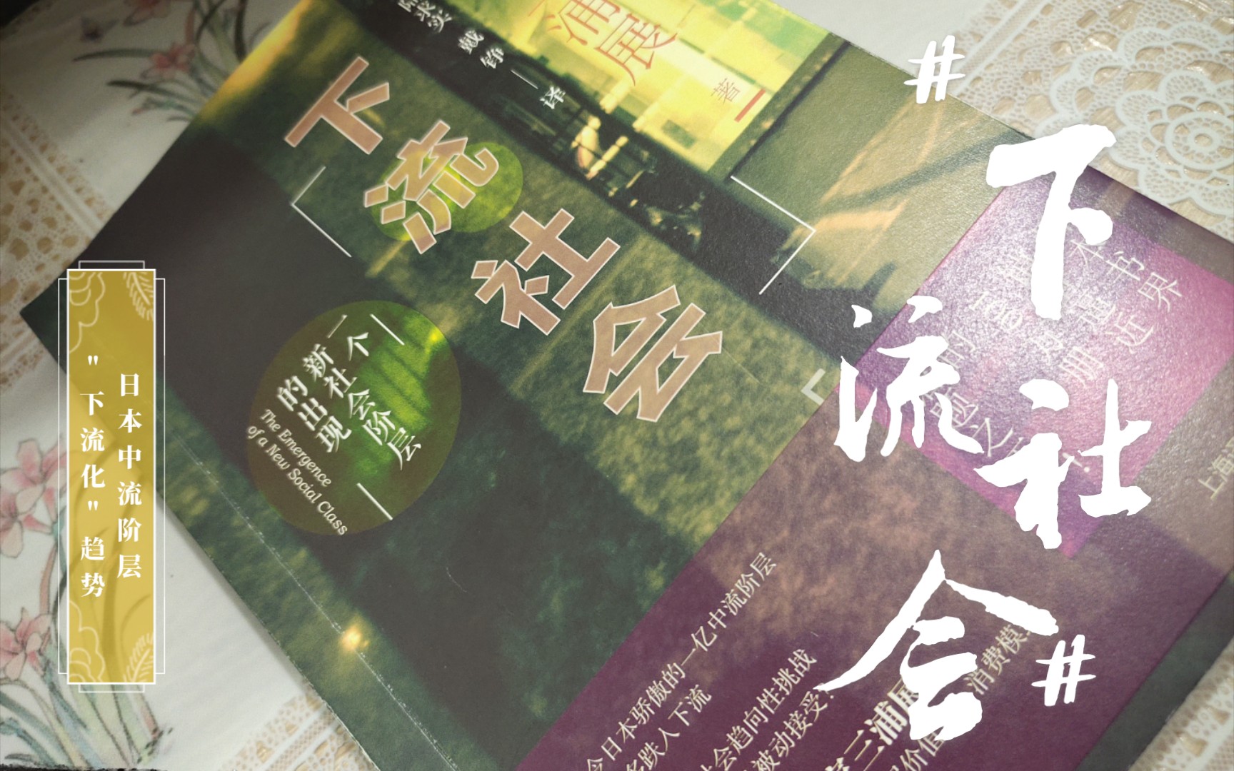 《下流社会》中流阶层的下流化趋势.日本社会＂躺平＂的年轻人.哔哩哔哩bilibili