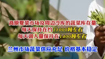 下载视频: 蔬菜上市旺季，兰州市蔬菜在田面积40万亩左右，预计产量为80万吨左右，每天上市量约为8000至10000吨。