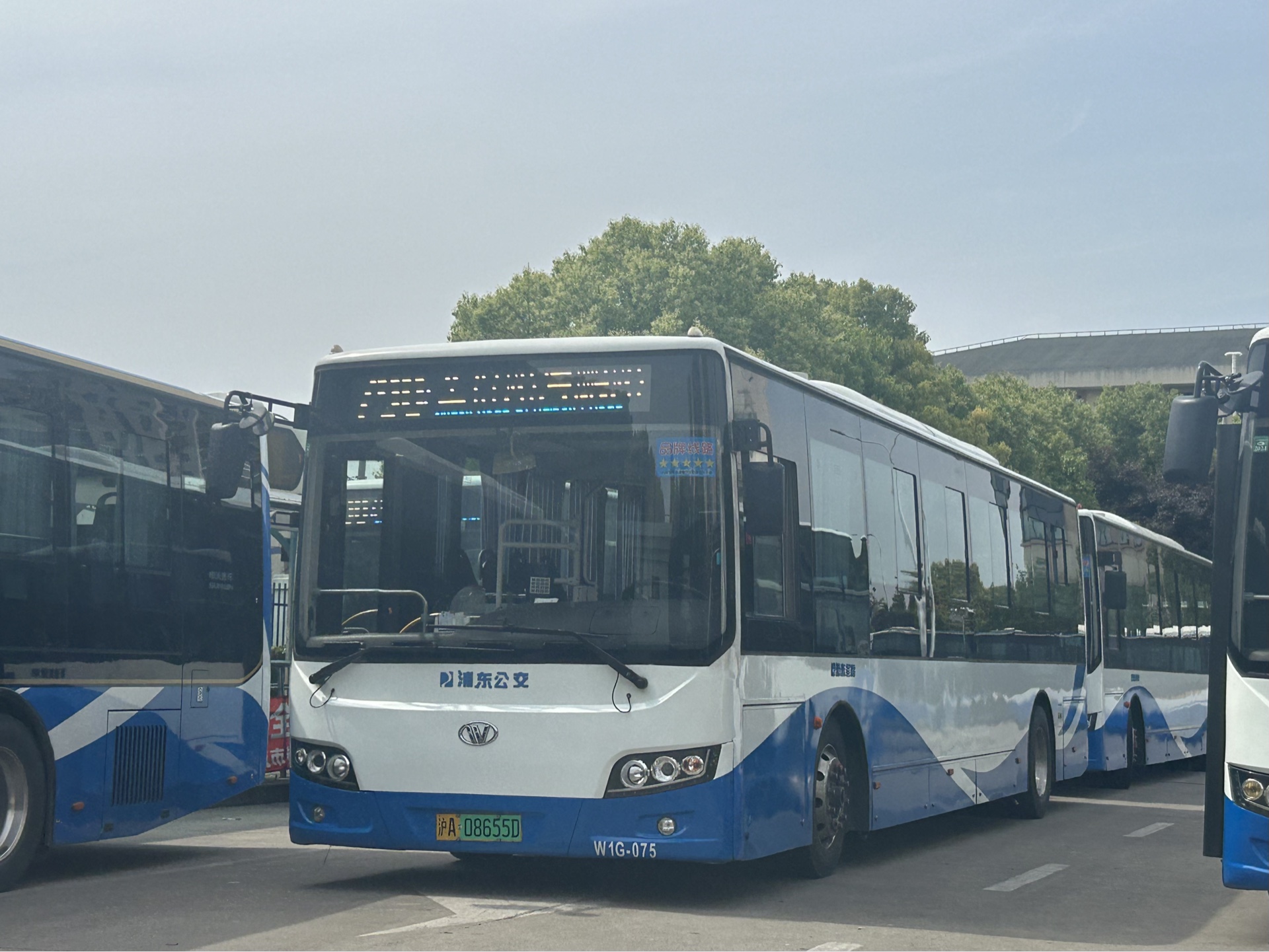 平峰也不逊色)上海公交 浦东金高 三分公司 790路 金群路海鹏路往世纪