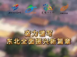 Descargar video: 东北一家人，四兄弟携手同行，奋力谱写东北全面振兴新篇章！