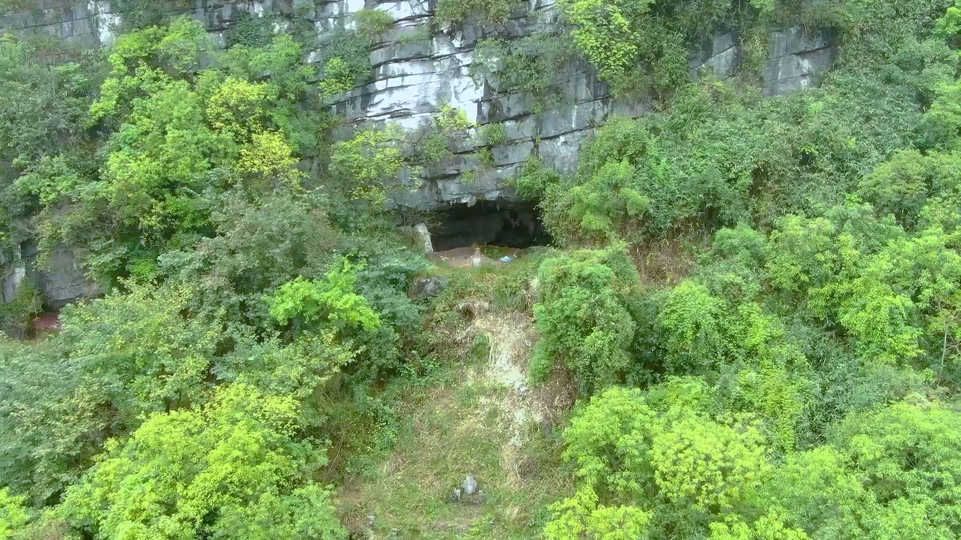 小伙发现个悬崖山洞,用无人机飞前查看差点吓到,到底看到了啥?