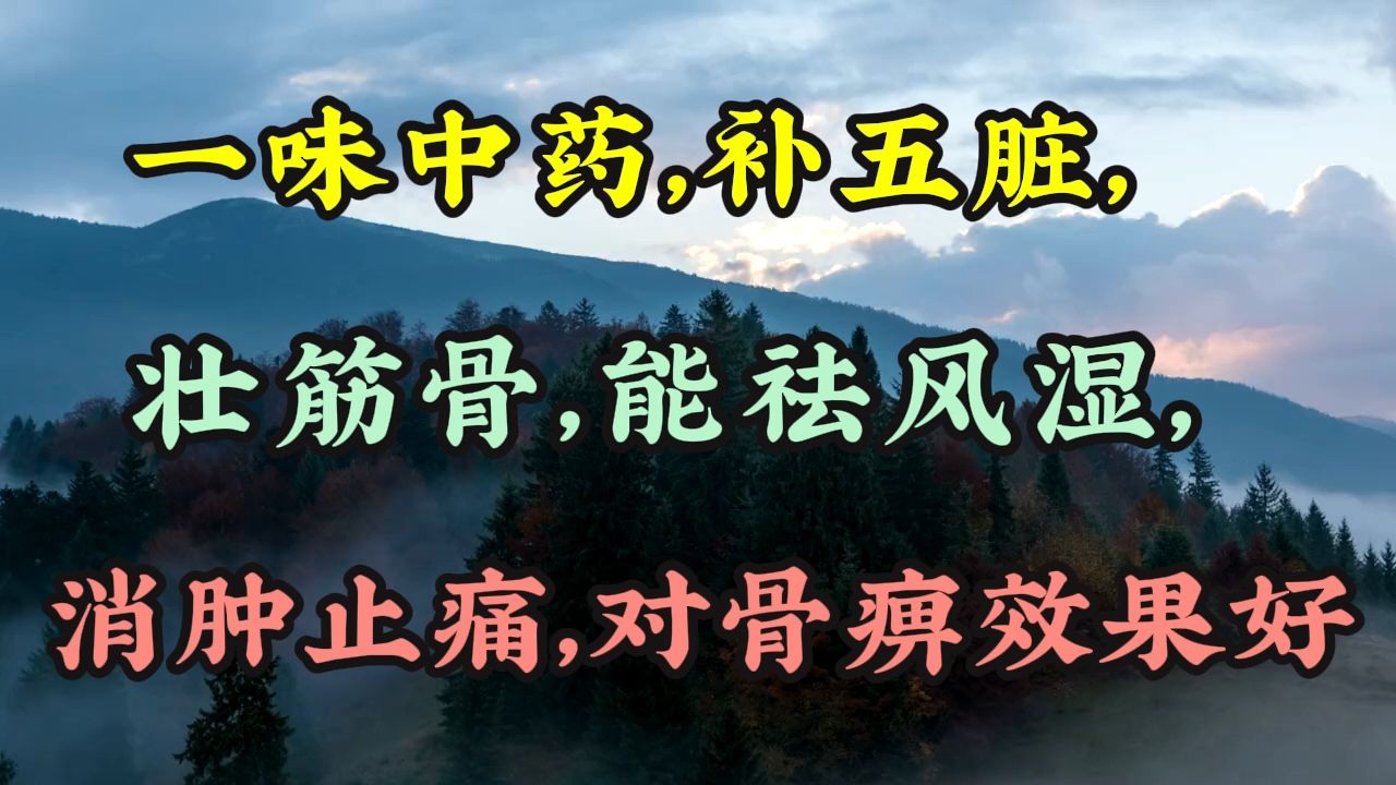 一味中药,补五脏,壮筋骨,能祛风湿,消肿止痛,对骨痹效果好哔哩哔哩bilibili