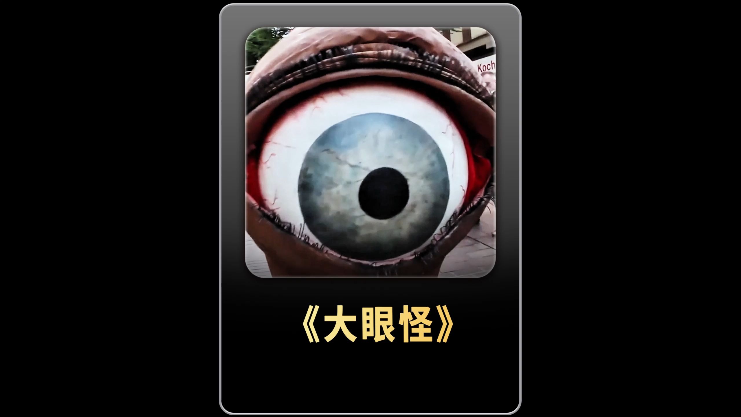 大眼怪又出来浪了