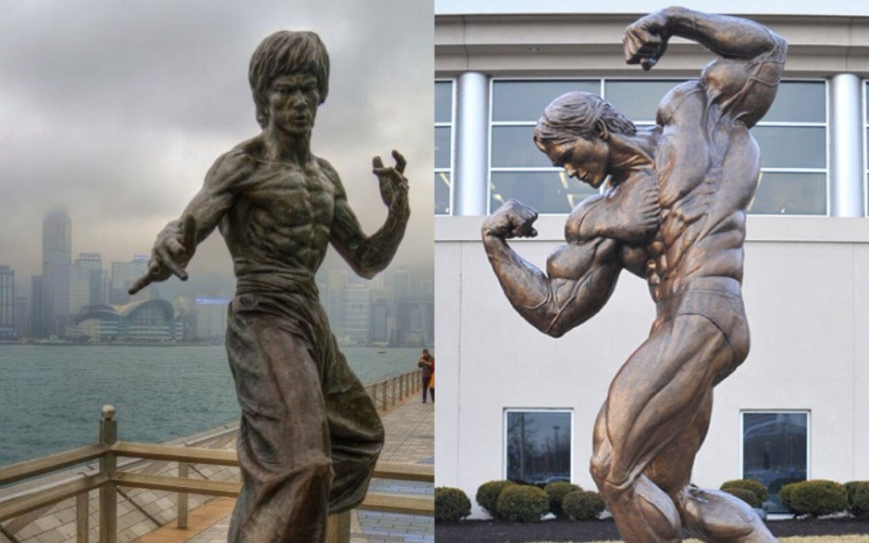 阿诺德施瓦辛格和李小龙1岁到32岁的人生居然看哭了