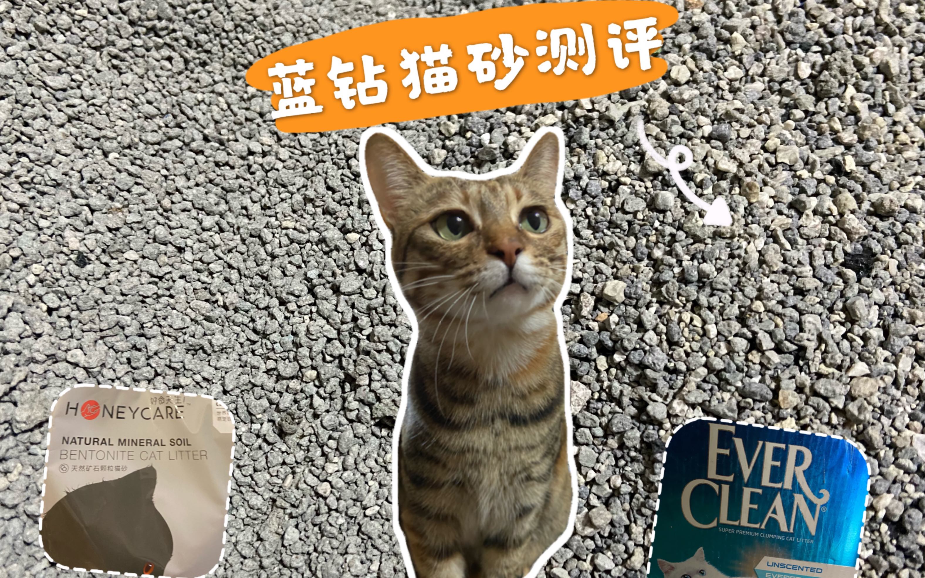 蓝钻猫砂测评哔哩哔哩bilibili