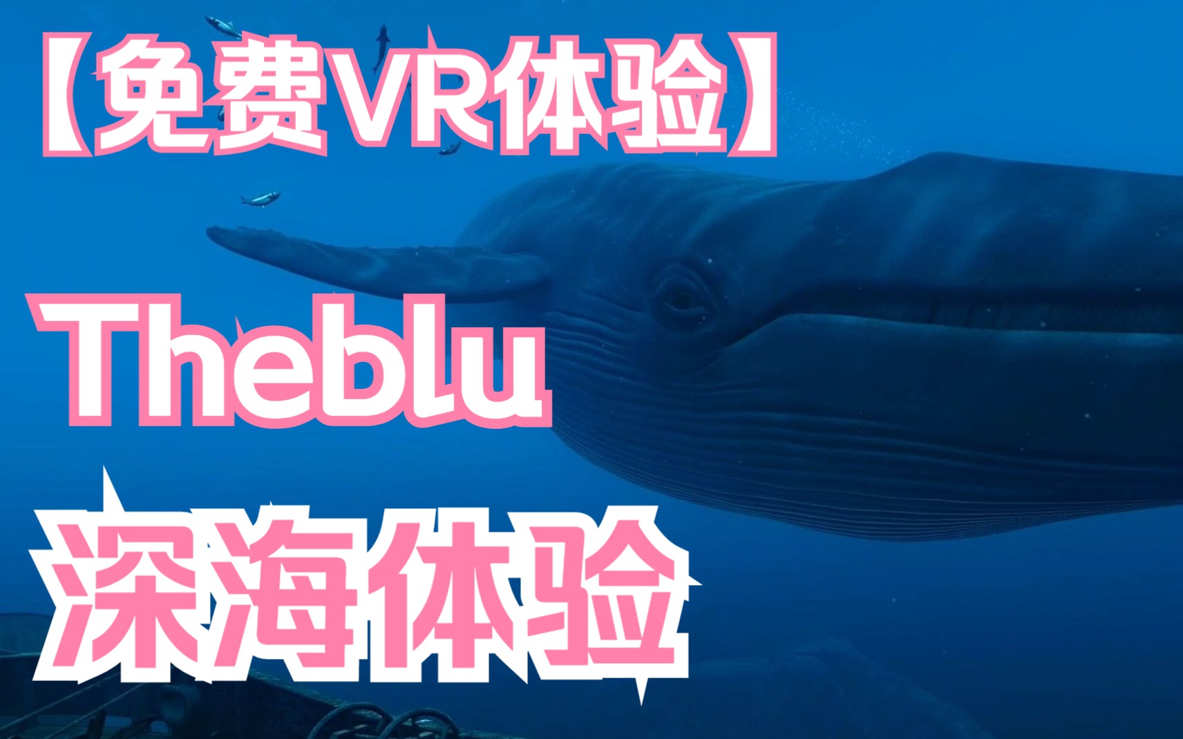 【TheBlu】【免费VR体验】【深海潜水】【VR水族馆】免费内容体验单机游戏热门视频