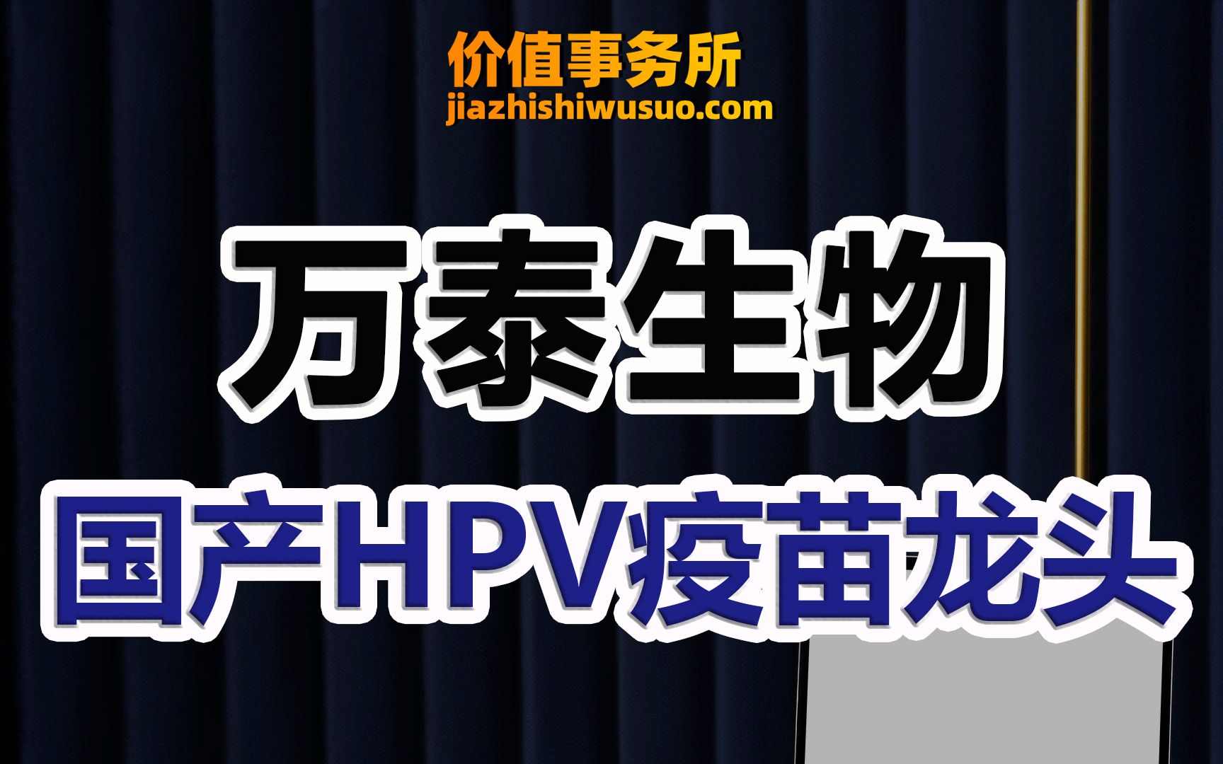 被严重低估了,综合实力极强,万泰生物,甚至有望超越智飞生物!【价值事务所】【张坤 葛兰刘彦春朱少醒林园但斌股神巴菲特】股票估值 股票必备 基金...