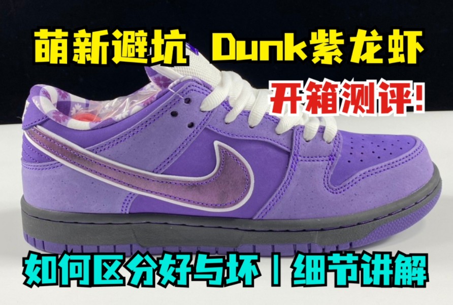 萌新避坑 Dunk SB 低帮紫龙虾 全细节测评 如何区分好与坏?哔哩哔哩bilibili