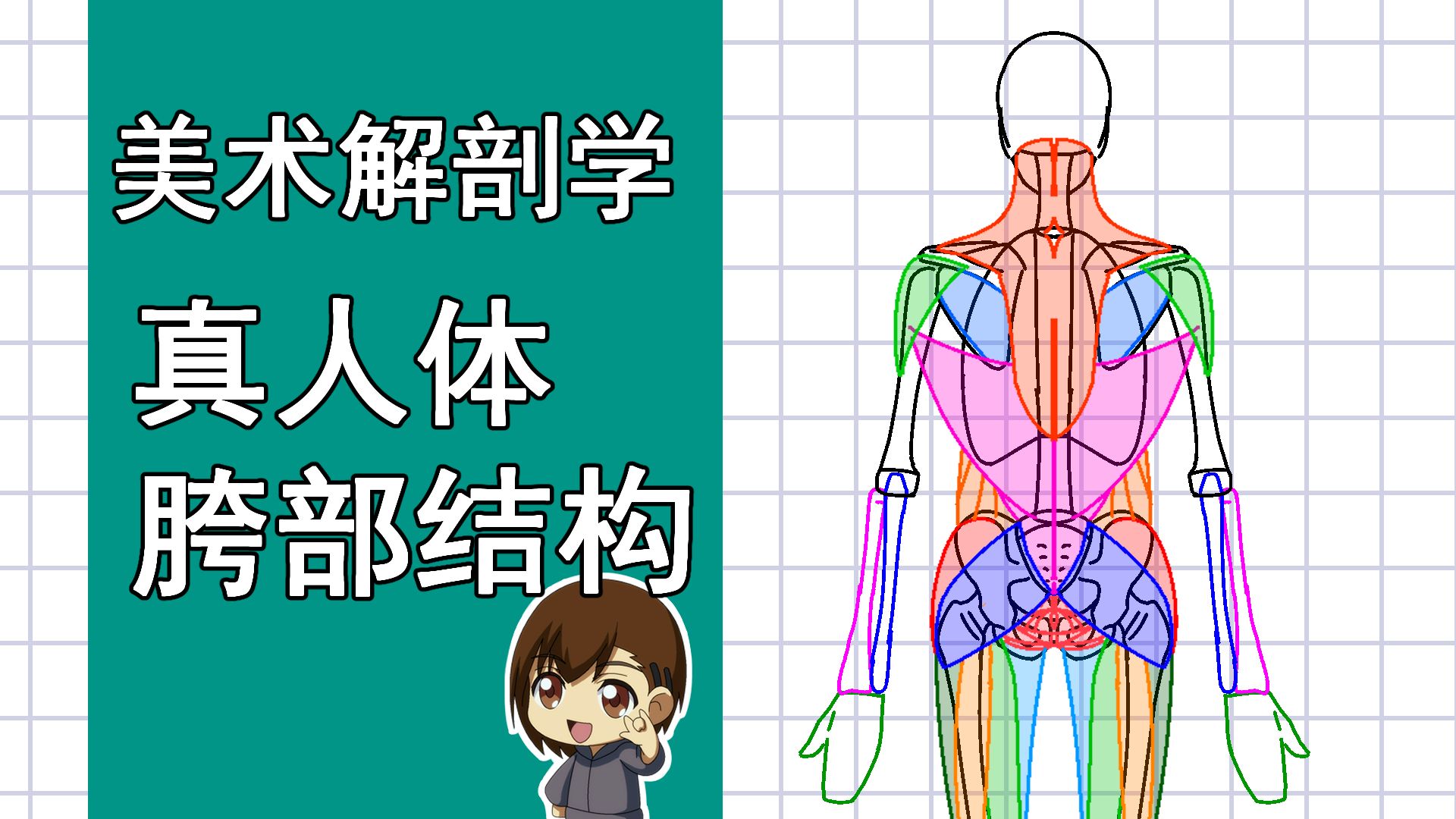 美术解剖学-54-真人中寻找胯部结构