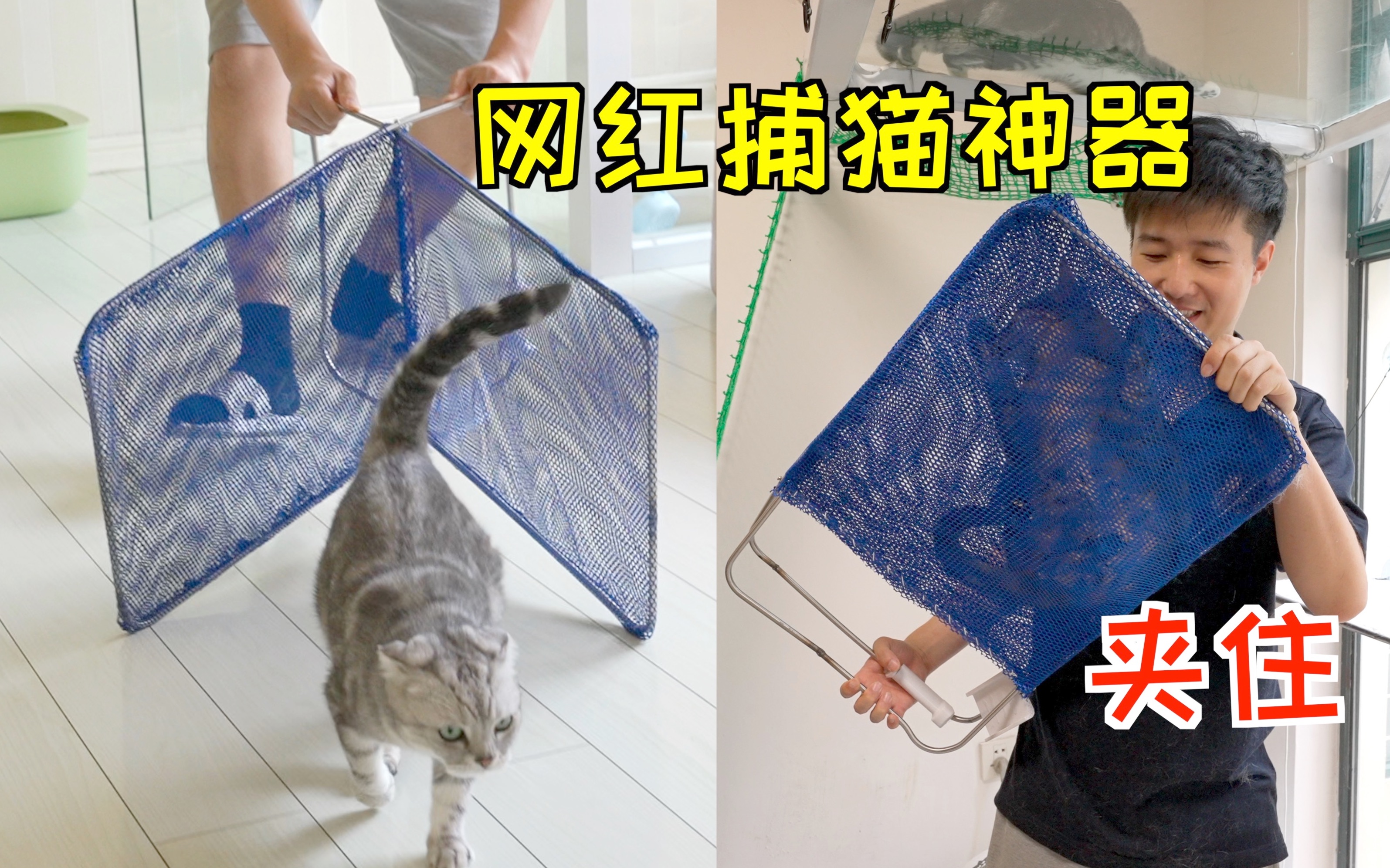 复刻老外的捕猫工具!真能把猫咪夹成烤鸡架?哔哩哔哩bilibili