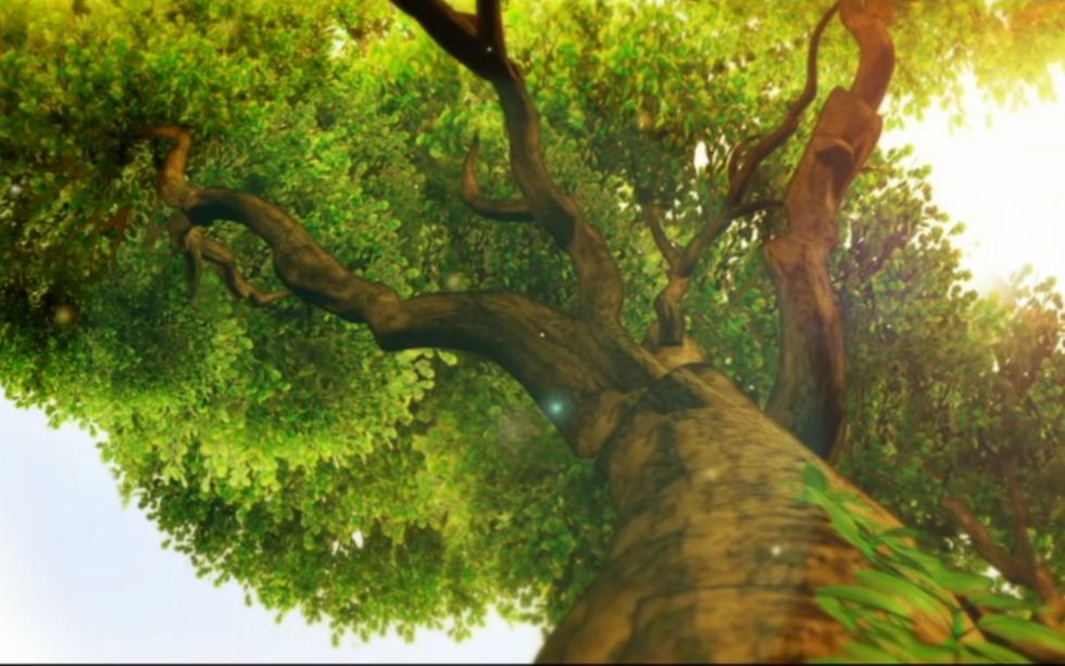 [图]一株植物的成长