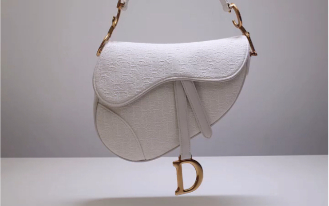 dior迪奥2020新款白色老花saddle bag马鞍包
