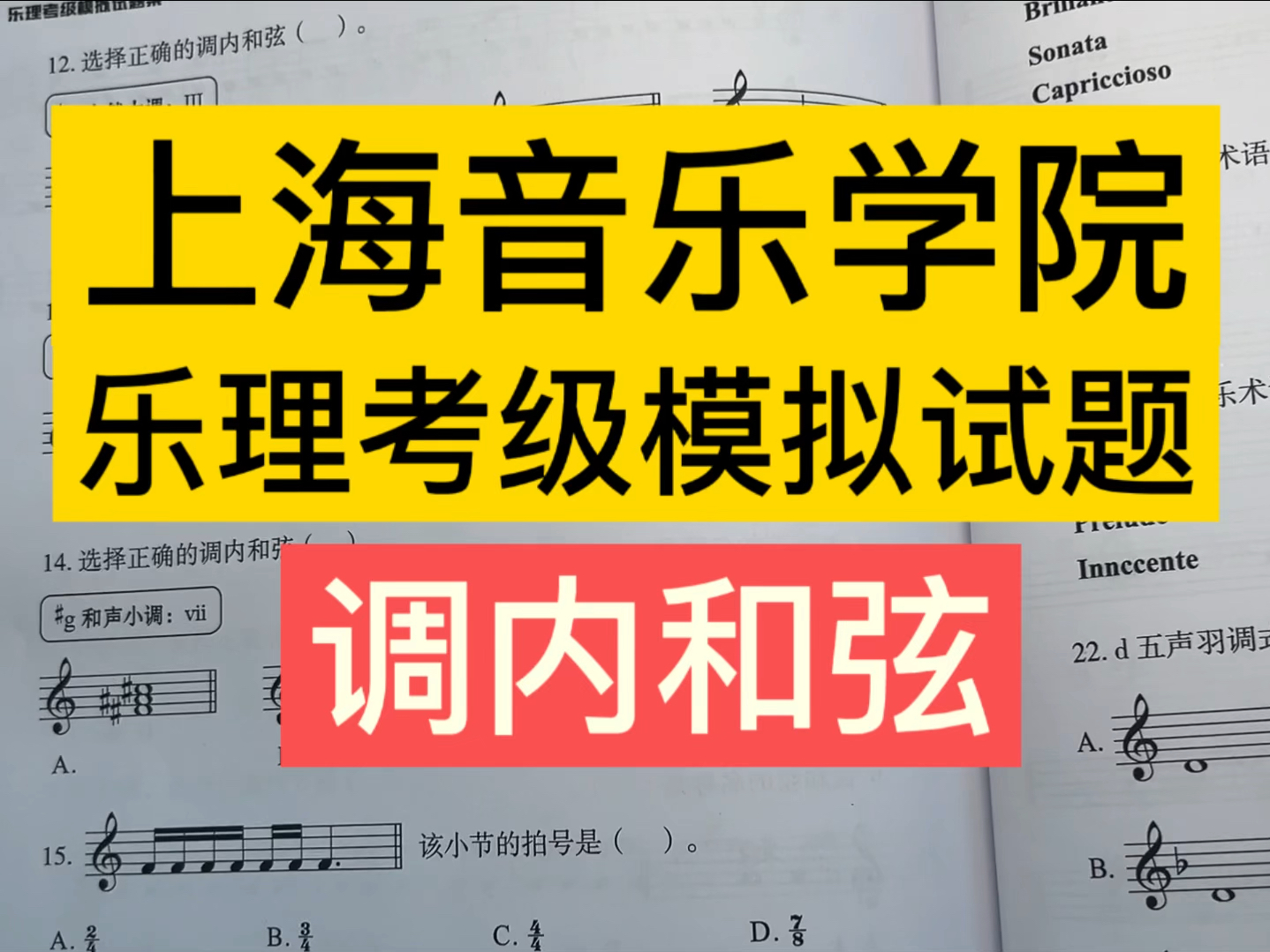 上海音乐学院中级b乐理调内和弦