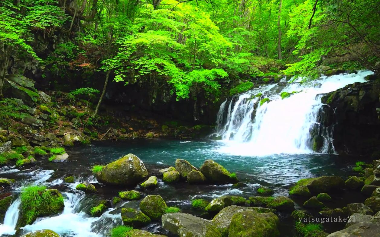 场景素材日本长野蓼科高原の青山绿水