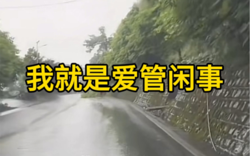 我就是闲的 爱管闲事