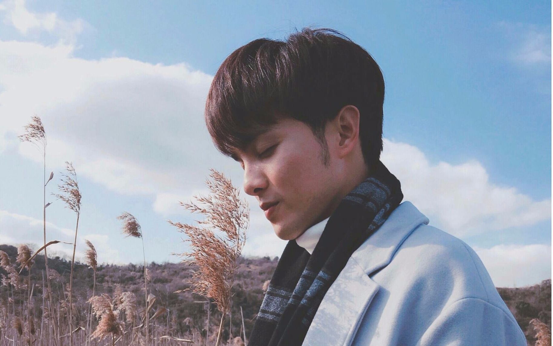 【spexial伟晋】翻唱—斑马,斑马(伟晋的声音好听到醉啊!