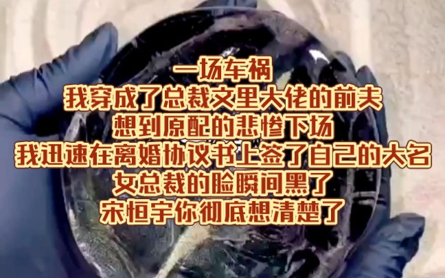 一场车祸我穿成了总裁文里大佬的前夫想到原配的悲惨下场我迅速在离婚协议书上签了自己的大名女总裁的脸瞬间黑了宋恒宇你彻底想清楚了哔哩哔哩bilibili