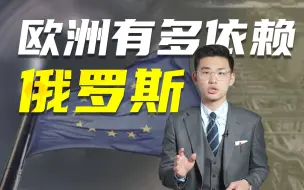 Descargar video: 俄乌危机，欧洲各国人民上街抗议，到底哪个群体坐享其成？