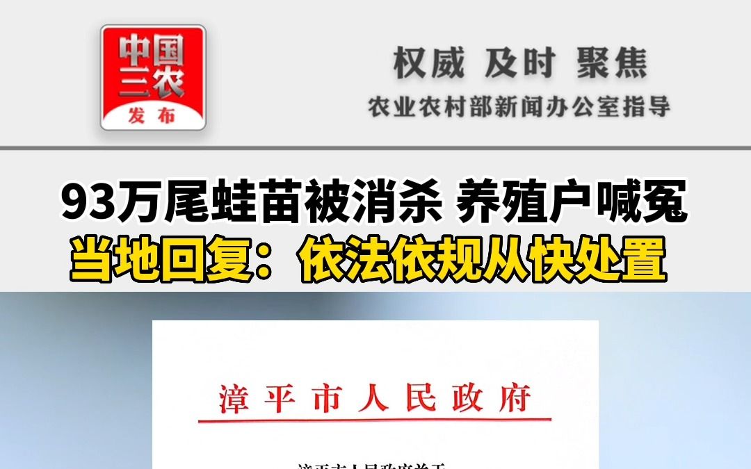 聚焦三农丨93万尾蛙苗被消杀 养殖户喊冤 当地回复:依法依规从快处置哔哩哔哩bilibili