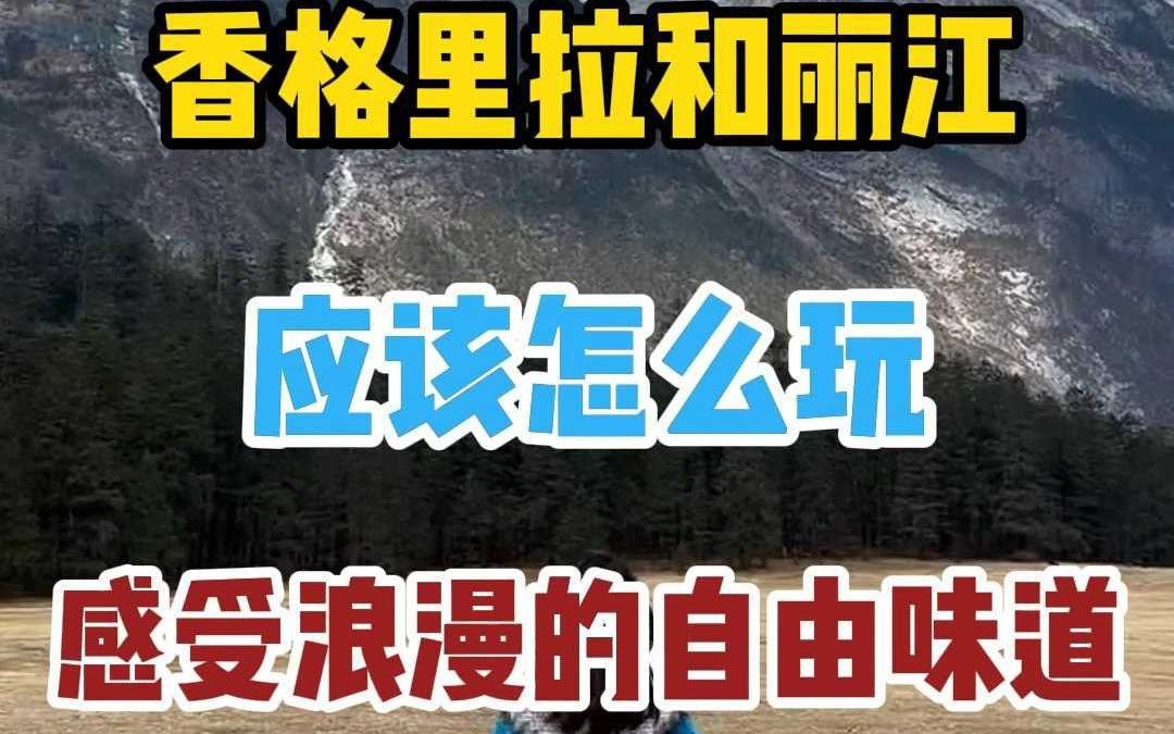 冬天来香格里拉和丽江,应该怎么玩,带上这条香格里拉旅游攻略就够了哔哩哔哩bilibili