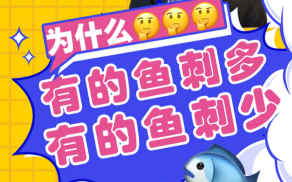 今日份无用冷知识:同样是鱼,为什么有的鱼刺多有的鱼刺少?哔哩哔哩bilibili