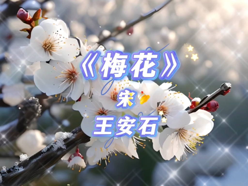 古诗梅花,喜欢古诗的来
