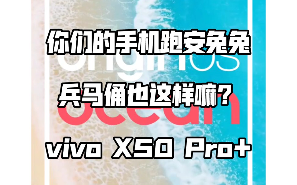 vivox50跑分安兔兔图片