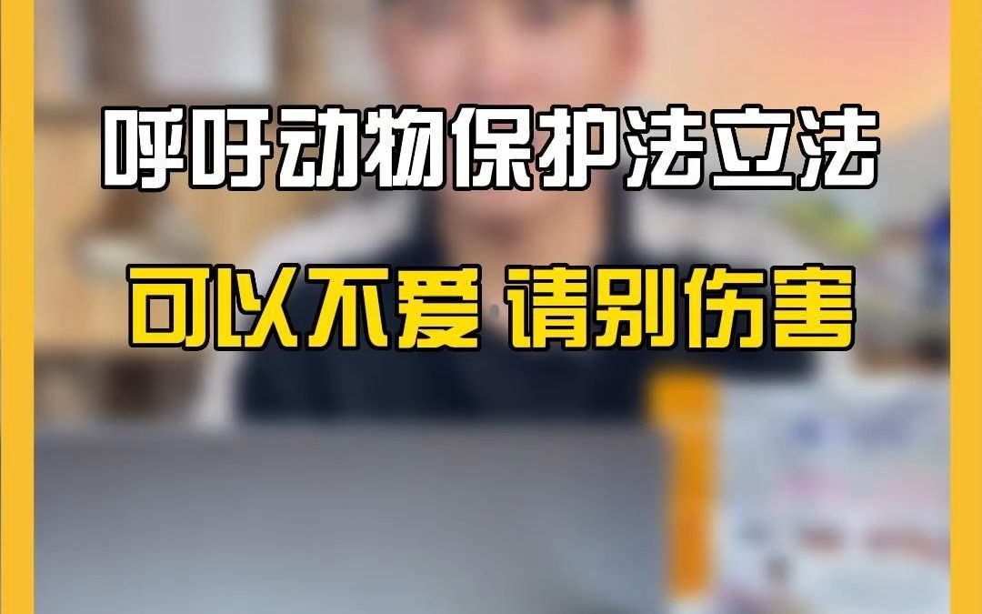 动物保护法哔哩哔哩bilibili