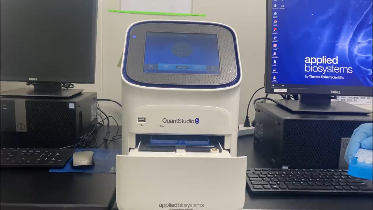 ABI Q5 Real-time PCR Machine Operation Guide