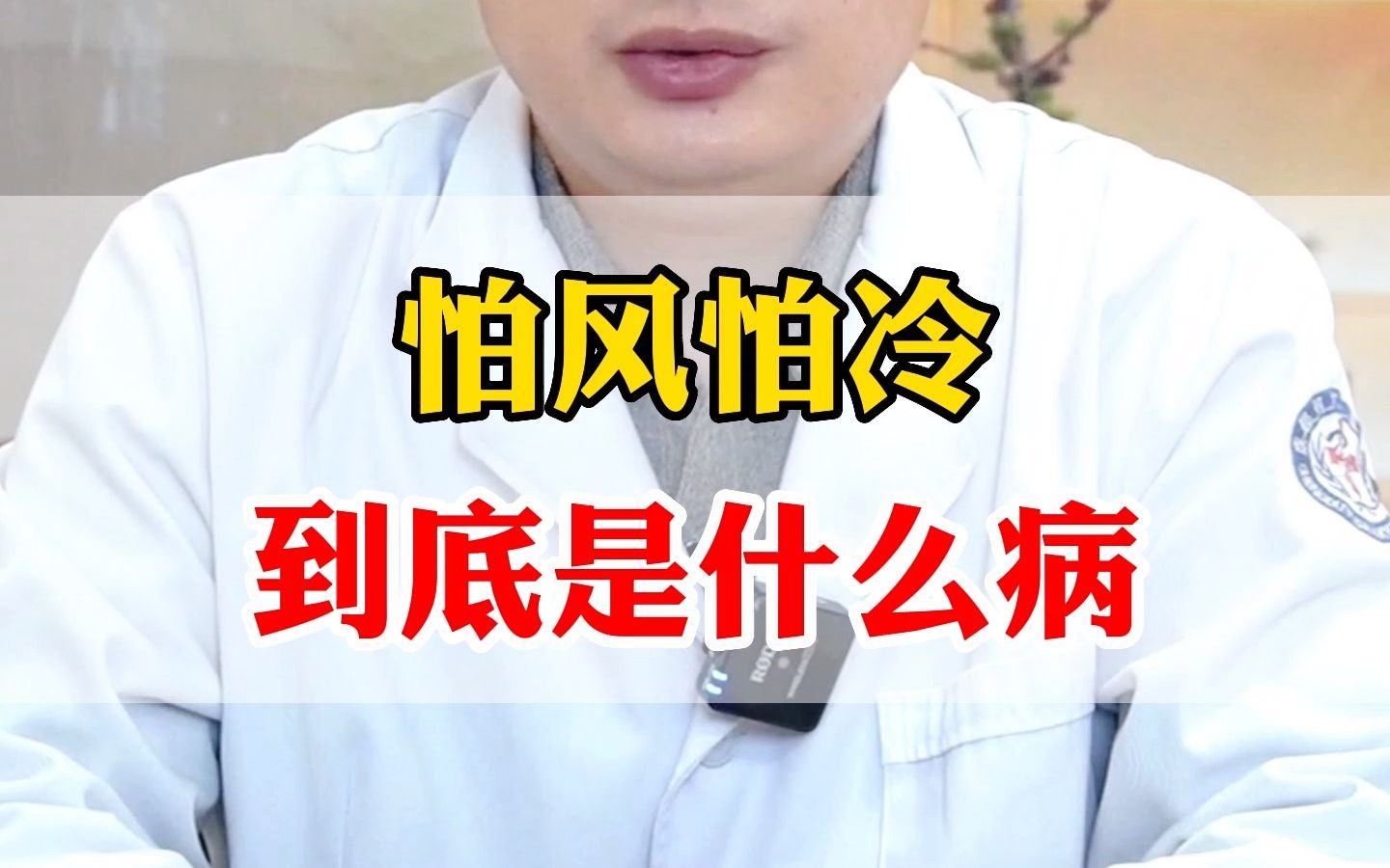 怕风怕冷到底是什么病